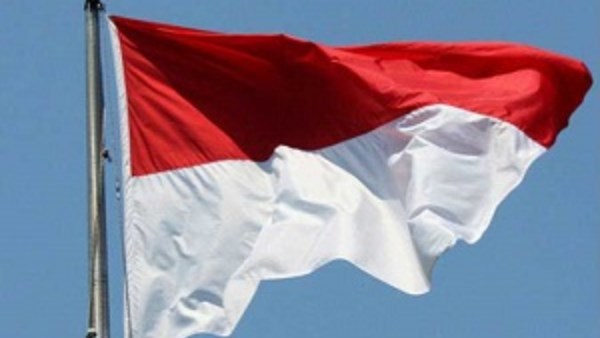 إندونيسيا والنرويج تعززان التعاون في الطاقة والبيئة