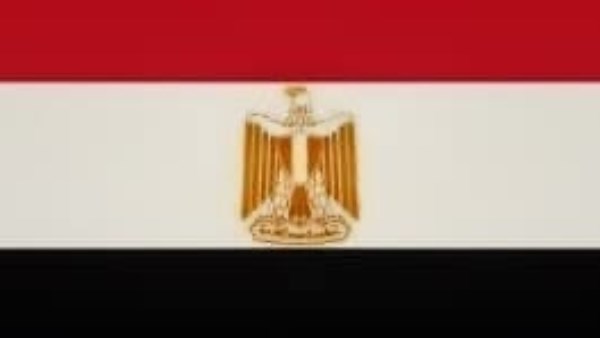 الأحزاب تثمن شفافية الدولة في التعامل مع حادث ميناء دمياط .. وتؤكد دعم القيادة السياسية ورفض محاولات جر مصر إلى دائرة الصراع