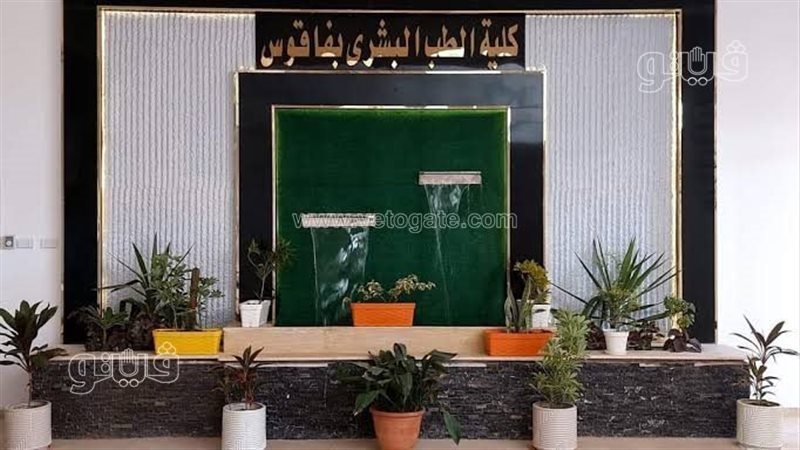 1200 طالب في قلب القرار، الأعلى للجامعات يعيد تنظيم الدراسة بكلية طب فاقوس
