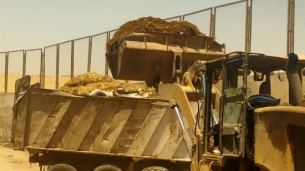 حملة مكبرة لرفع كفاءة النظافة بشارع جمال عبد الناصر بنزلة السمان في الهرم