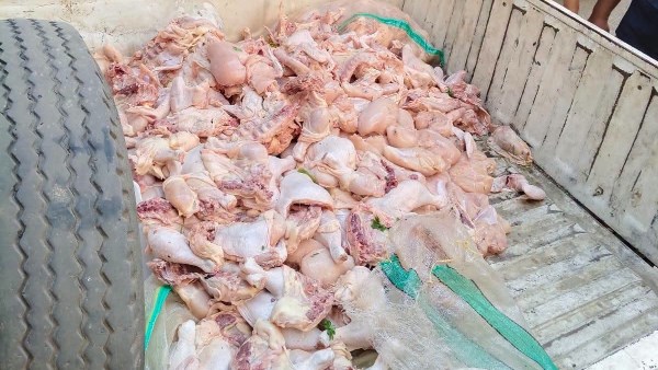 ضبط ربع طن دواجن محقونة بالمياه وغير صالحة للاستهلاك بالمنوفية
