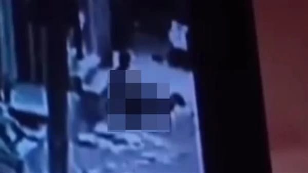 الأجهزة الأمنية بالمنوفية تفحص فيديو واقعة التعدي على كلبة