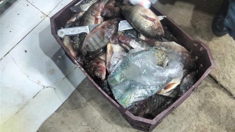 حملة مكبرة تضبط مخالفات غذائية وتجارية بالخارجة في الوادي الجديد