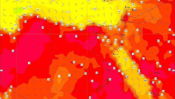 ذروة الصيف غدًا.. الأرصاد ترفع مستوى التحذير والحرارة تصل 44 درجة