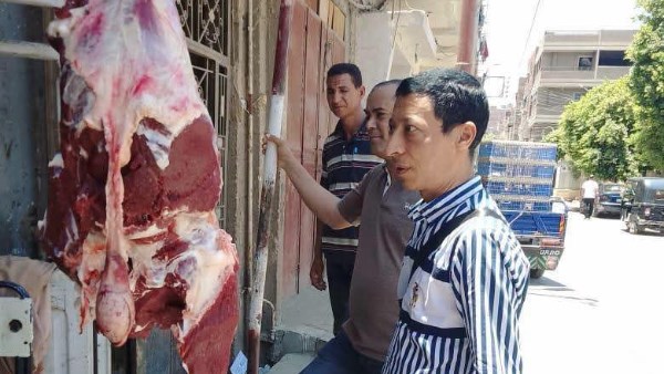 تحرير 46 مخالفة تموينية متنوعة في حملات مكبرة بالغربية