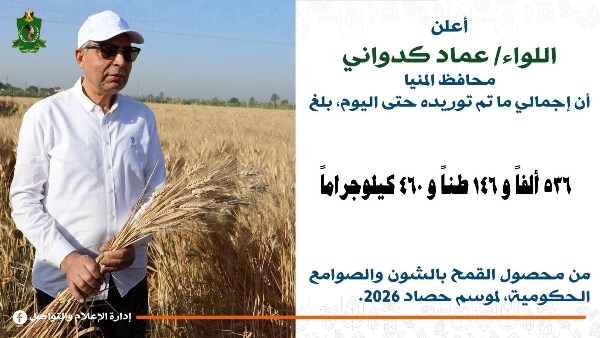 محافظ المنيا: توريد 536 ألف طن قمح خلال موسم حصاد 2026