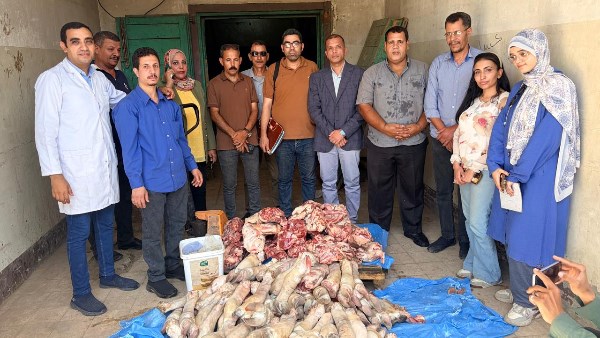 ضبط 250 كيلو لحوم غير الصالحة للاستهلاك الآدمي بأحد المطاعم في سوهاج