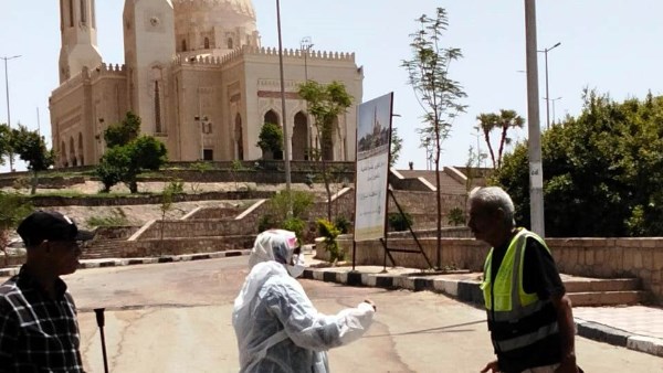 مواصلة تنفيذ حملات تحصين وتعقيم الكلاب الحرة للحد من مرض السعار بأسوان