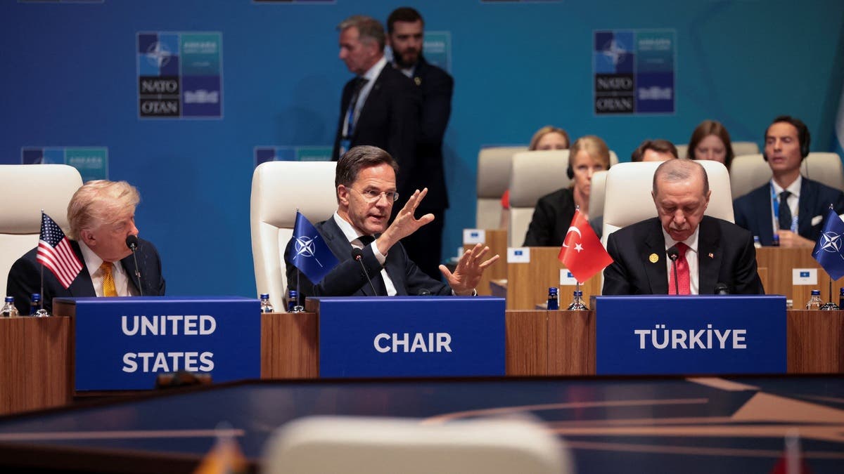 قمة الناتو تنطلق.. وأردوغان: مستعدون لإزالة ألغام هرمز