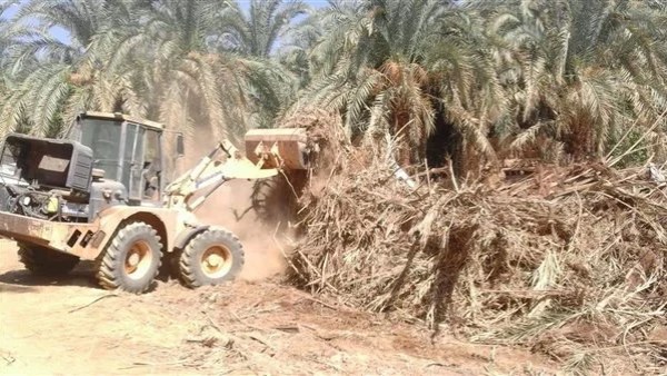 الوادي الجديد تحذر من إشعال المخلفات الزراعية بالحقول