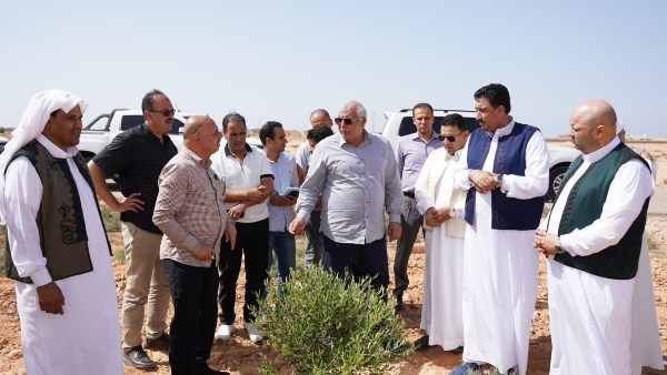إنشاء مزرعة زيتون كبرى وقف خيري في مطروح
