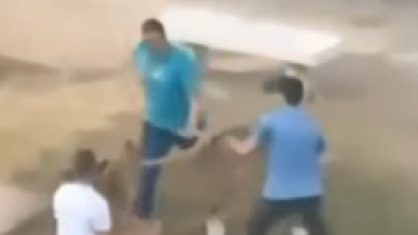 أشعلوا السوشيال ميديا بفيديو مشاجرة فى بورسعيد وتصالحوا أمام جهات التحقيق