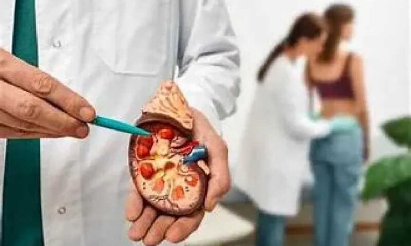 6 عادات يومية للوقاية من أمراض الكلى والحفاظ على وظائفها الحيوية