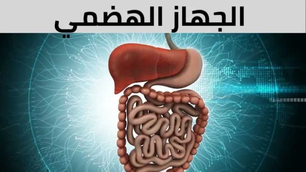 متاعب الجهاز الهضمي في الطقس الحار: أسباب اضطرابات المعدة وأهم النصائح للوقاية