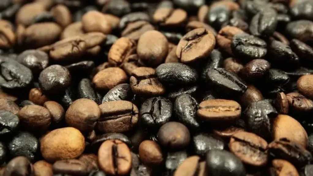 أزمة فنجان القهوة.. شعبة البن تفجر مفاجأة وتكشف نسبة المغشوش بالأسواق ومخاطره الصحية