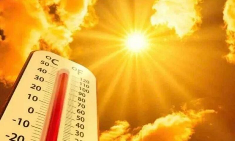 أجواء صيفية رطبة وشبورة صباحية.. الأرصاد تكشف ملامح طقس الخميس ودرجات الحرارة المتوقعة