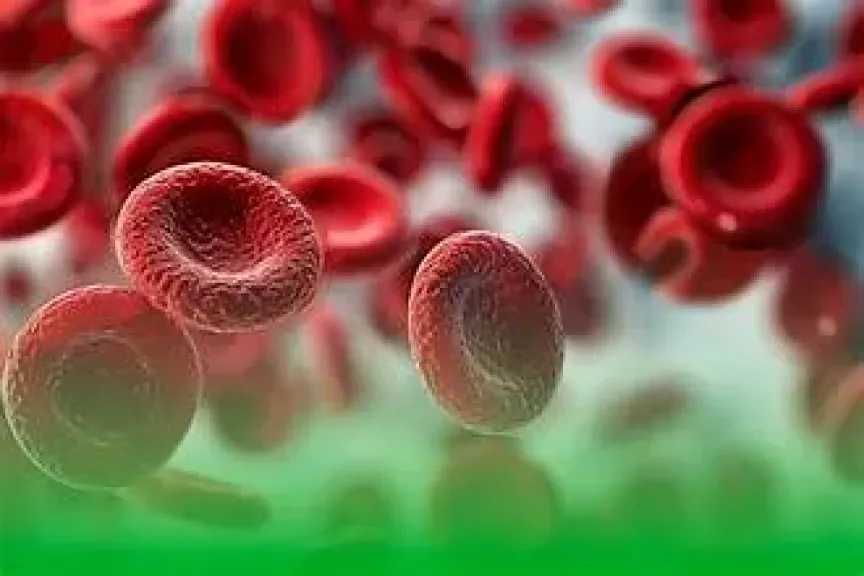 أنواع فقر الدم :  الأسباب والأعراض وطرق العلاج والوقاية من الأنيميا
