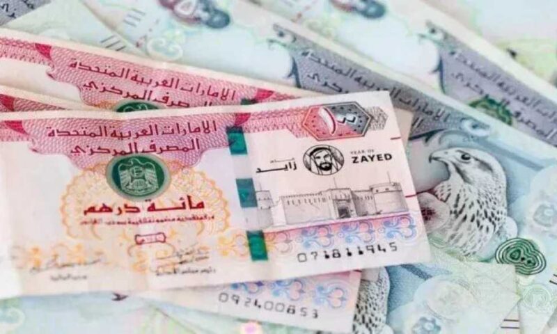 سعر الدرهم الإماراتي مقابل الجنيه المصري اليوم الجمعة 24 يوليو 2026