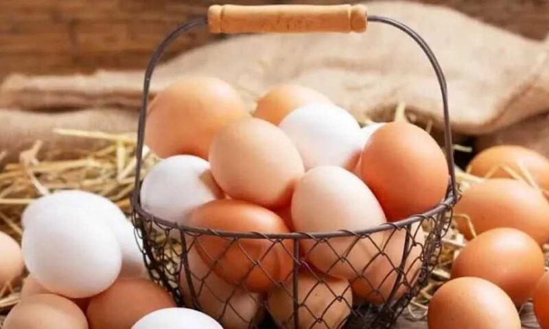 تفسير حلم البيض: رزق أم مشاكل؟