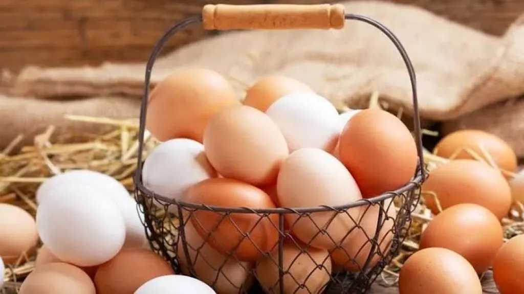 تفسير حلم البيض: رزق أم مشاكل؟