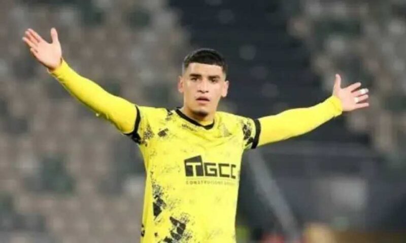 زينباور يشيد بإمكانيات سفيان بن جديدة ويراهن على نجاحه مع الأهلي