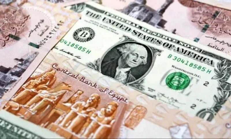 سعر الدولار مقابل الجنيه المصري في تعاملات اليوم الجمعة 31 يوليو 2026