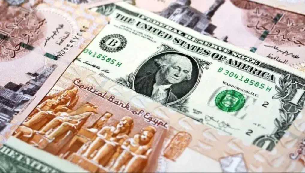 سعر الدولار مقابل الجنيه المصري في تعاملات اليوم الجمعة 31 يوليو 2026