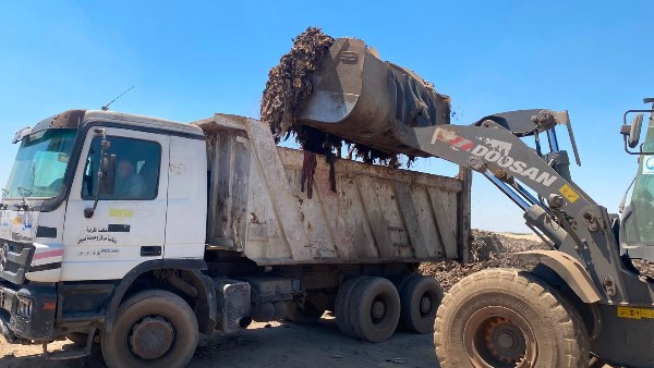 رفع 40 ألف طن من المخلفات بقرية دفرة في الغربية