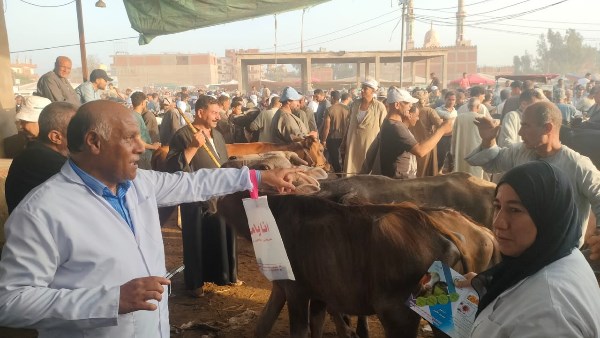 محافظ الغربية يُحكم منظومة حماية الثروة الحيوانية بحملات تقصي ميدانية موسعة.. 175 لجنة تجوب القرى والأسواق