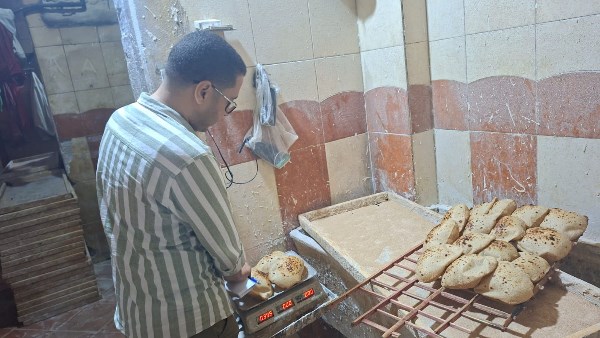 محافظ الغربية: استمرار الحملات التموينية لضمان جودة رغيف الخبز والتصدي لأي مخالفات