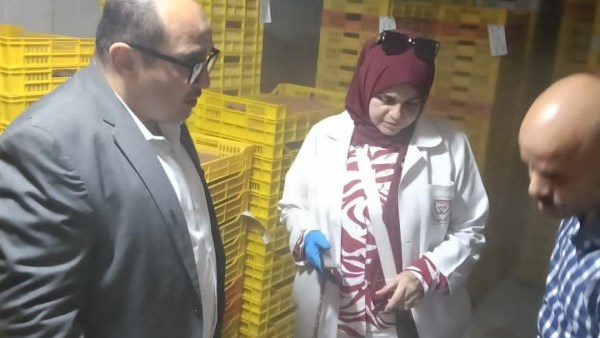 ضبط طن و٨٠٧ كيلو جرام مواد غذائية وخضروات مجمدة غير صالحة للاستهلاك الآدمي بمركز بلبيس