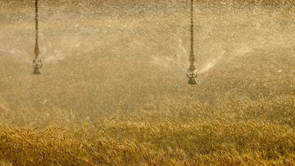 من الأمن الغذائي إلى الاقتصادي.. كيف يدير جهاز مستقبل مصر منظومة متكاملة لتأمين احتياجات الدولة؟