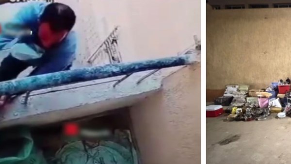 سقوط لص سرق شقة سكنية بالجيزة