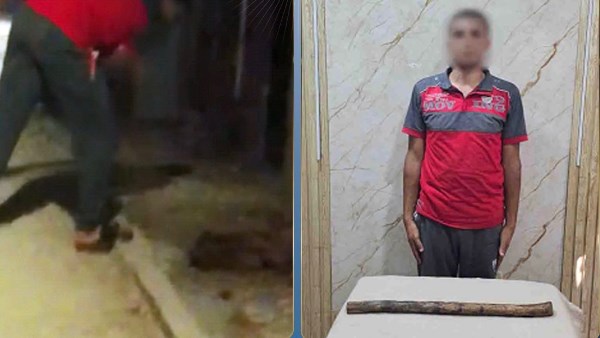 القبض على المتهم بإنهاء حياة كلب في الغربية