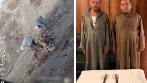القبض على المتهمين بسلخ جلد حمار بالبحيرة