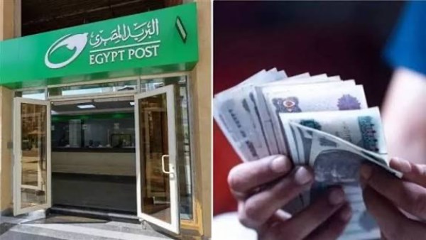 رابط الاستعلام عن تكافل وكرامة 2026 بالرقم القومي .. اعرف حالة بطاقتك بسهولة