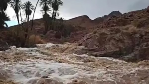 مصرع 26 شخصا جراء الأمطار الغزيرة بولاية آسام الهندية