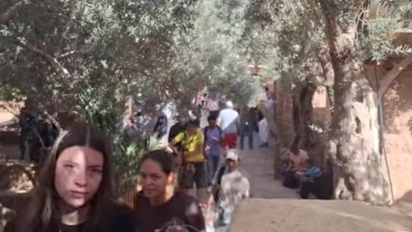 سانت كاترين تواصل جذب زوار العالم.. 386 سائحًا يستمتعون بروعة الطبيعة