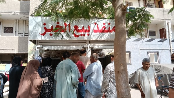 محافظ الدقهلية يتابع انتظام بيع الخبز المدعم بمنافذ التوزيع بالمراكز والمدن