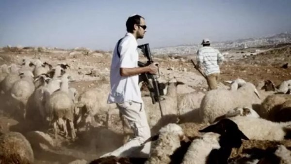 حرق وهدم وسرقة وغلق طرق .. شاهد جرائم وإرهاب المستوطنين خلال 24 ساعة في الضفة