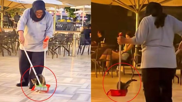 الراحمون يرحمهم الله.. عاملة نظافة تلاعب قطة بمشهد إنساني يخطف القلوب