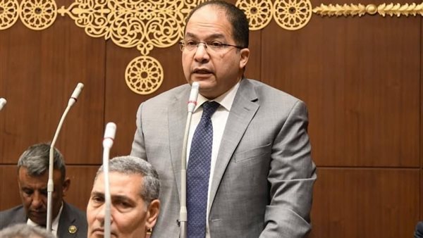 برلماني: تطلع ميلوني لزيارة مصر دليل على عمق الشراكة المصرية الإيطالية