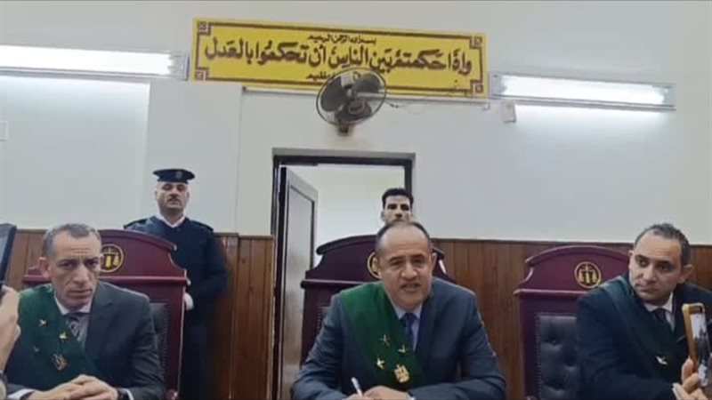 بتهمتي الاعتداء والقتل، جنايات المنيا تعاقب متهما بـ السجن المؤبد