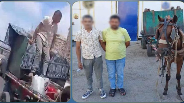 بالعربية الكارو وسرقوا صندوق جمع القمامة بالإسكندرية