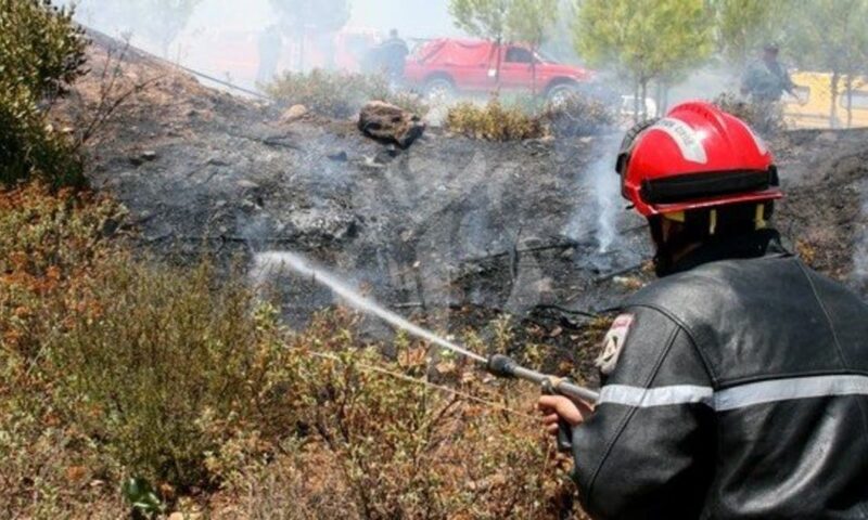 الجزائر.. الحرائق تحت السيطرة وتبون يعد بتعويض المتضررين قبل سبتمبر