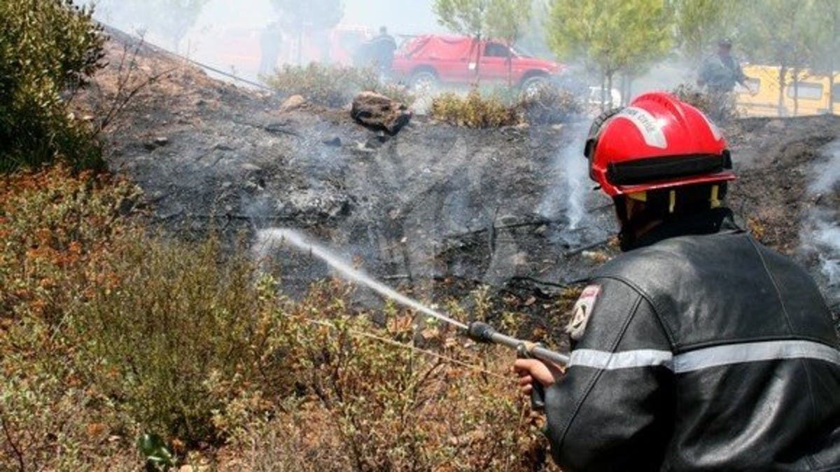 الجزائر.. الحرائق تحت السيطرة وتبون يعد بتعويض المتضررين قبل سبتمبر