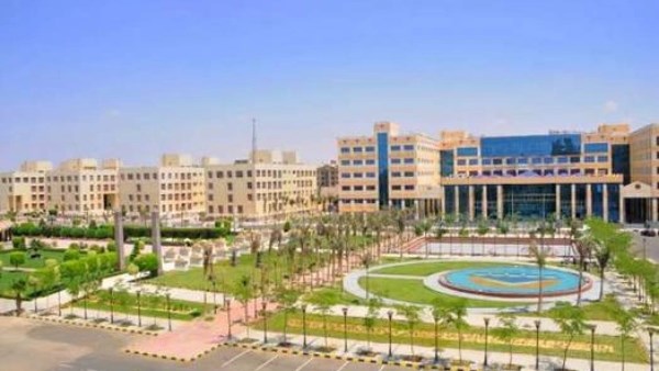 بعيدا عن الطب والهندسة.. كليات مطلوبة في سوق العمل برواتب مجزية