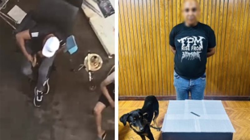“كنت بدربه على الشراسة”، اعترافات صادمة لمتهم بتعذيب كلب بسلاح أبيض في الإسكندرية