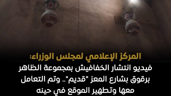 “إعلامي الوزراء”: فيديو انتشار الخفافيش بمجموعة الظاهر برقوق بشارع المعز “قديم”