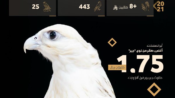 السعودية : ٥ أغسطس المزاد الدولي لمزارع إنتاج الصقور شمال الرياض